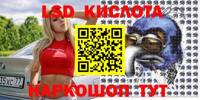 крисы Малгобек