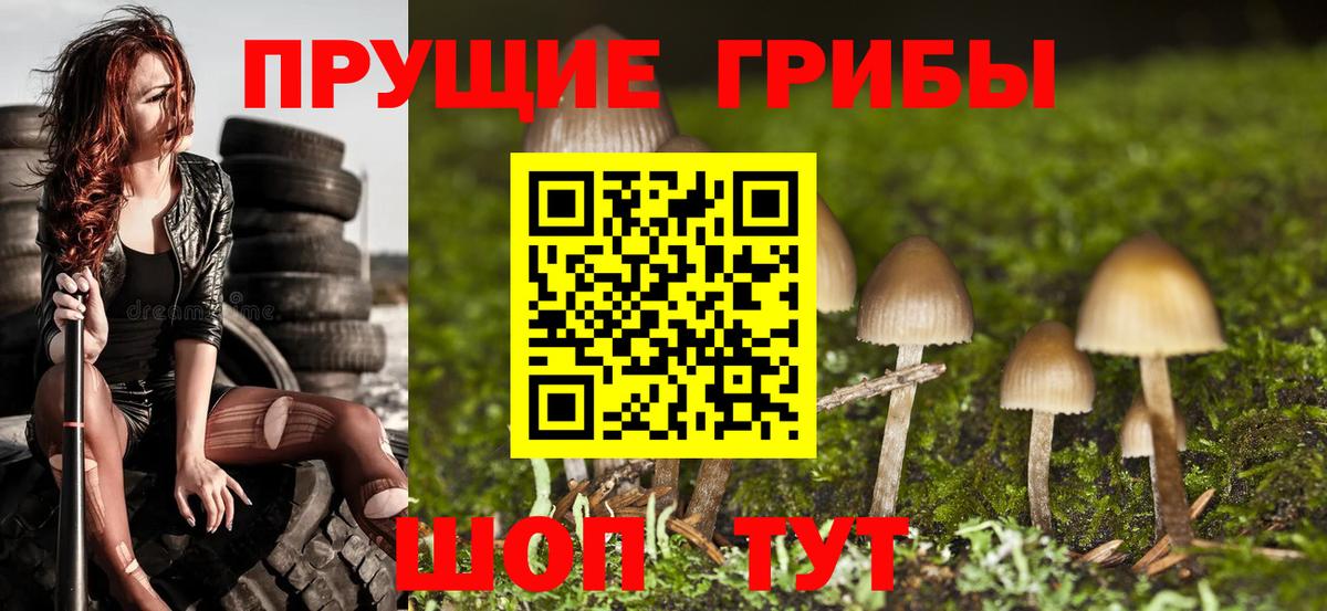 Псилоцибиновые грибы Magic Shrooms Гуково